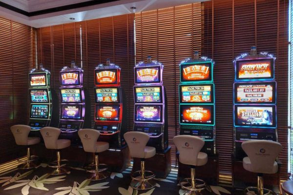 WhatsApp Image 2022-12-07 at 10.49.50 WhatsApp Image 2022-12-07 at 10.49.50